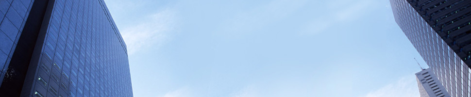 Terms and Conditions